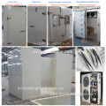Color painted PU insulation small cold storage to freeze fish